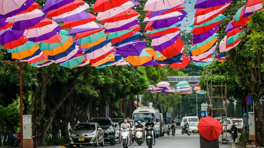 Rua Trinh Cong Son